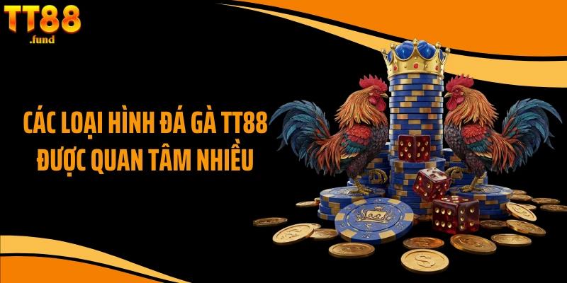 Các loại hình đá gà TT88 được quan tâm nhiều