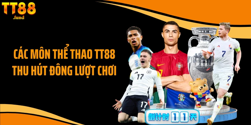 Các môn thể thao TT88 thu hút đông lượt chơi