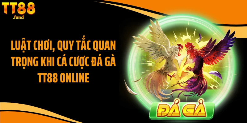 Luật chơi, quy tắc quan trọng khi cá cược đá gà TT88 online
