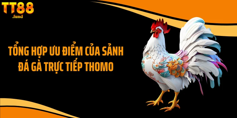 Tổng hợp ưu điểm của sảnh đá gà trực tiếp Thomo