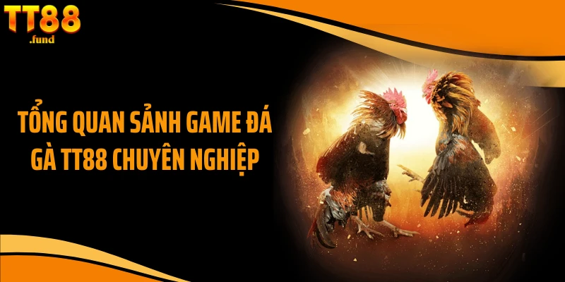 Tổng quan sảnh game đá gà TT88 chuyên nghiệp